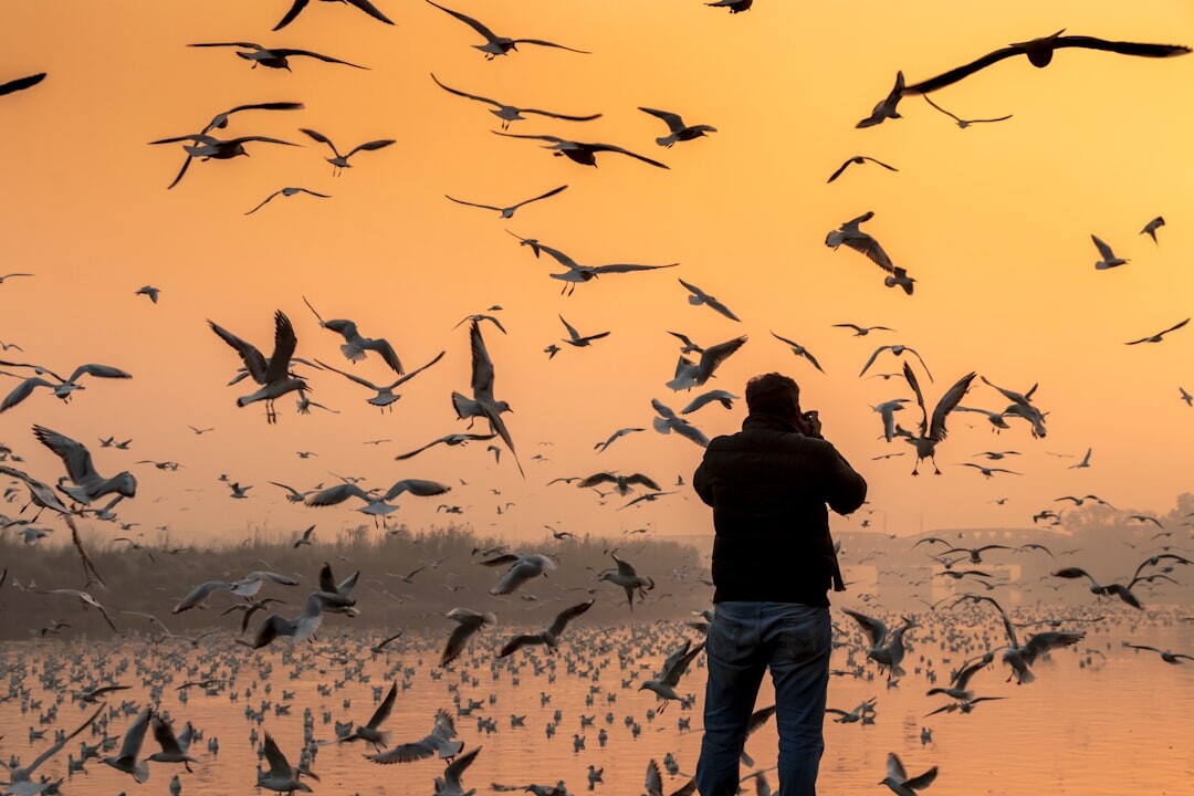 actor in nature watching birds
